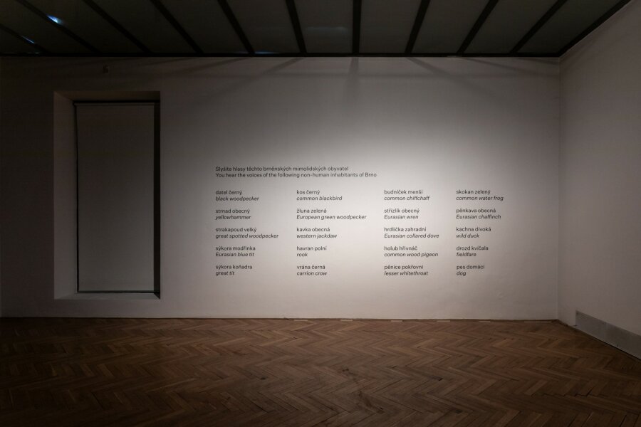 Tomáš Šenkyřík: Zvukové krajiny Brna, foto Barbora Trnková